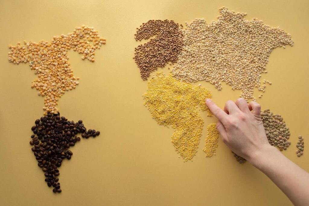 grãos formando o mapa mundi, representando o calendário agrícola